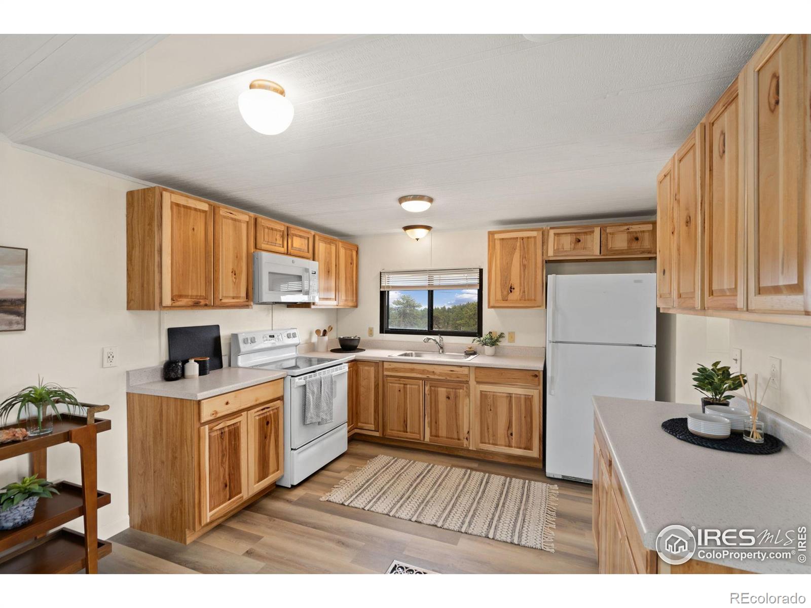 MLS Image #6 for 112 w balsam lane,red feather lakes, Colorado