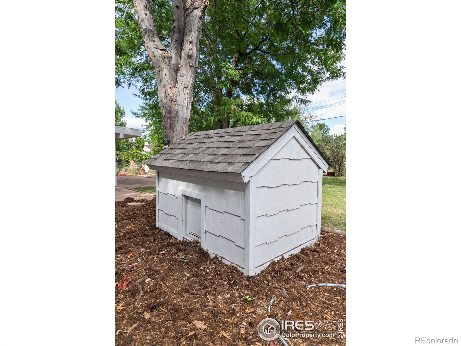 MLS Image #21 for 1110  jennifer drive,loveland, Colorado