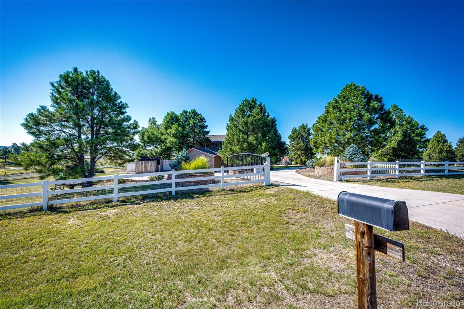 MLS Image #2 for 9404  devils head drive,parker, Colorado