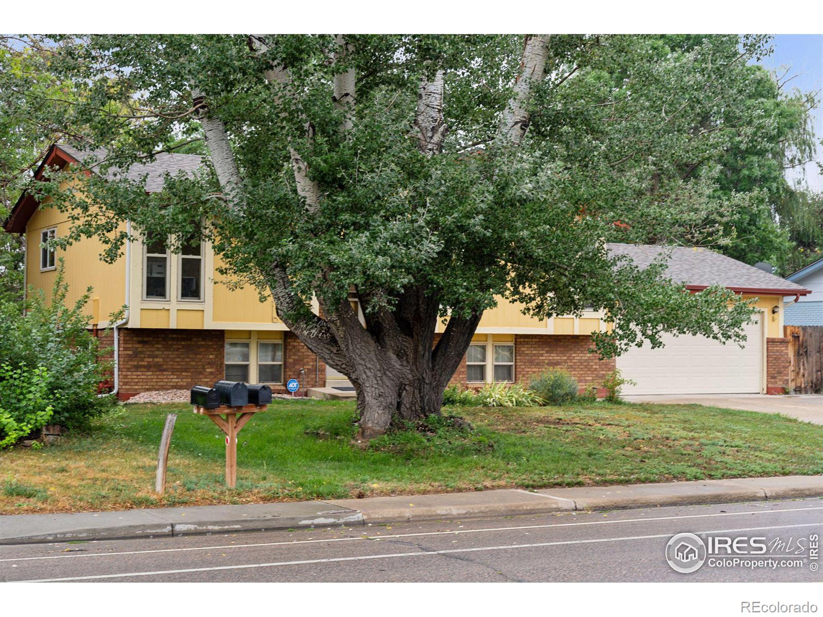 MLS Image #2 for 2120  gay street,longmont, Colorado