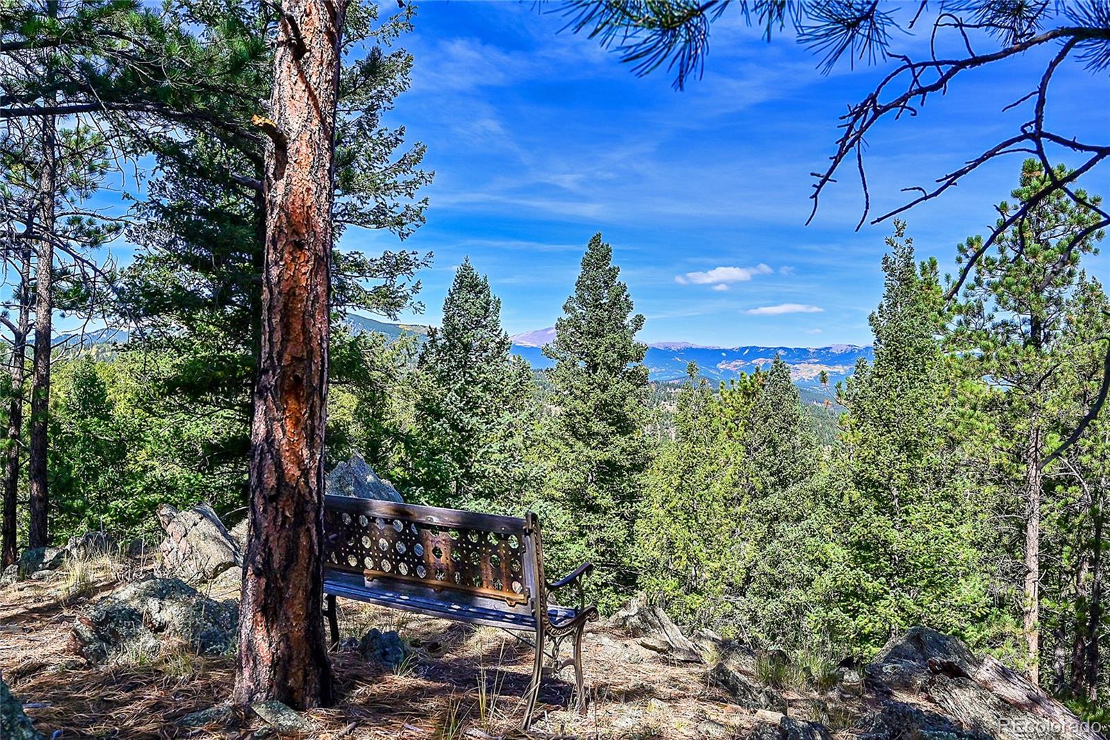 MLS Image #31 for 522  overlook drive,bailey, Colorado