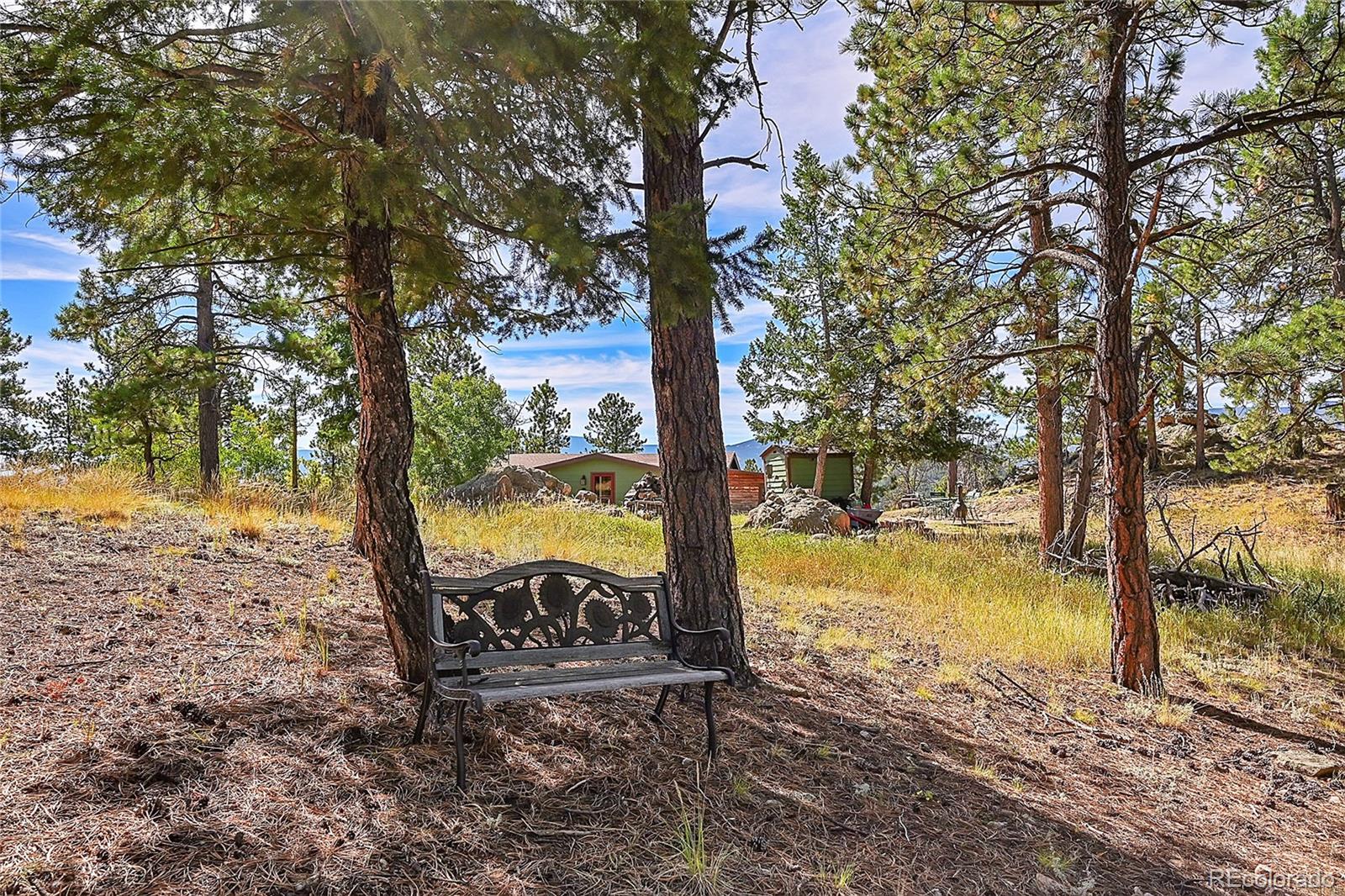 MLS Image #33 for 522  overlook drive,bailey, Colorado