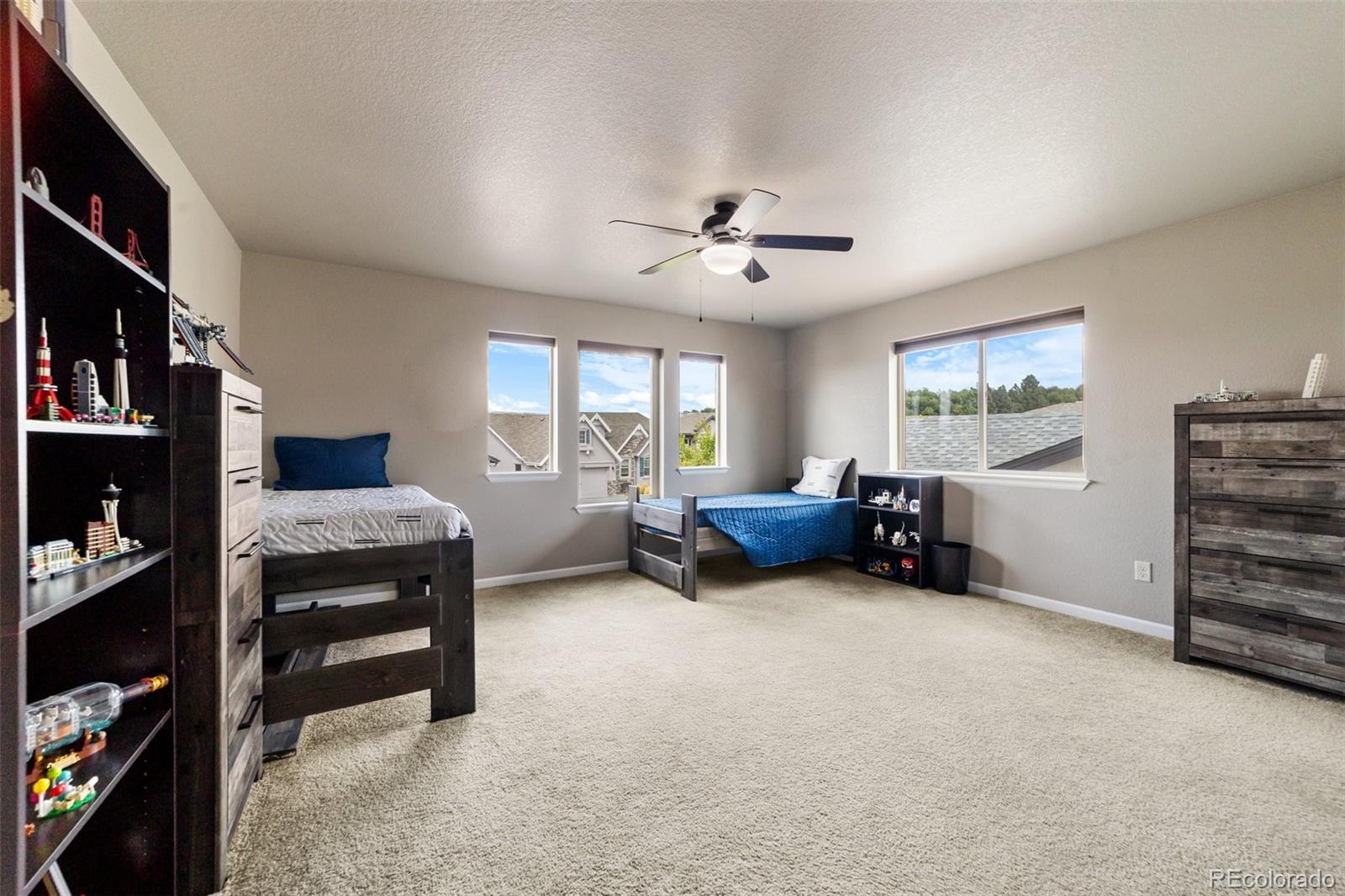 MLS Image #23 for 10549  kelowna view,colorado springs, Colorado