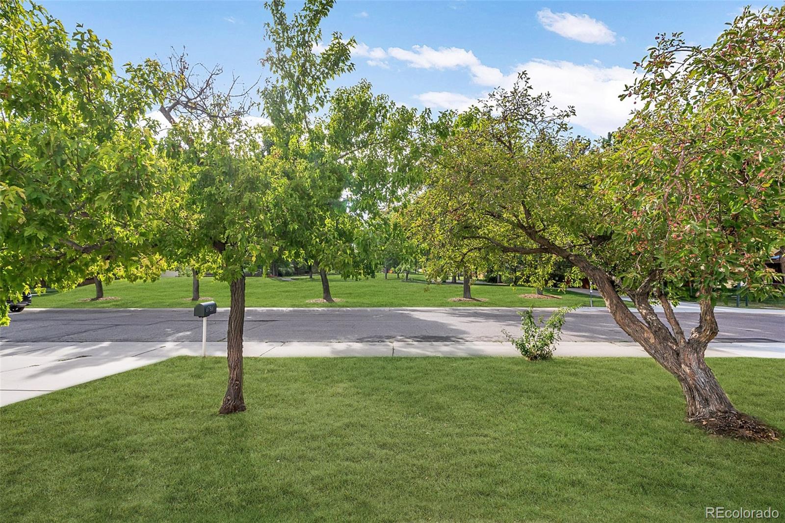 MLS Image #26 for 6786  jay street,arvada, Colorado