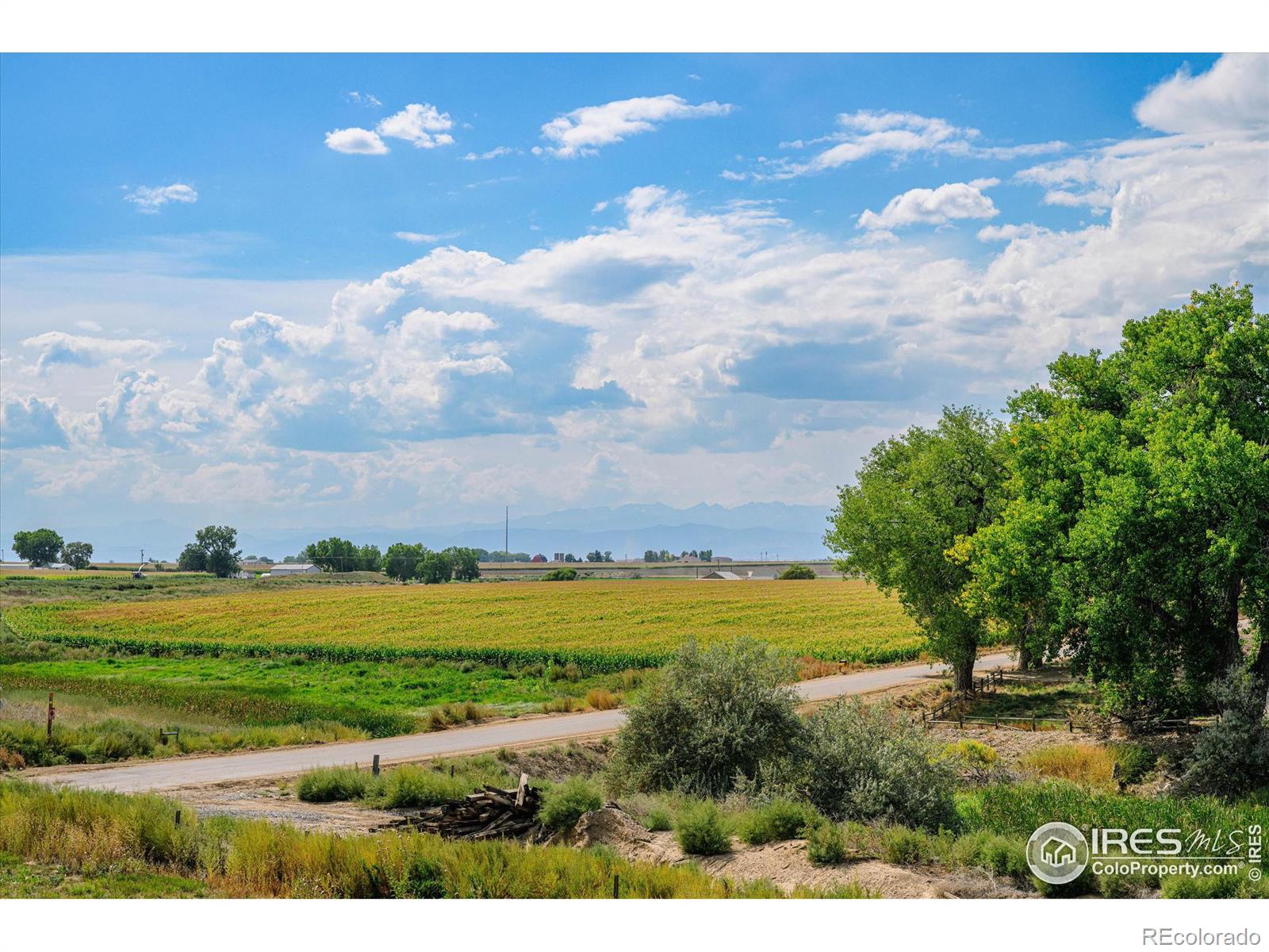 MLS Image #34 for 439  pekin drive,johnstown, Colorado