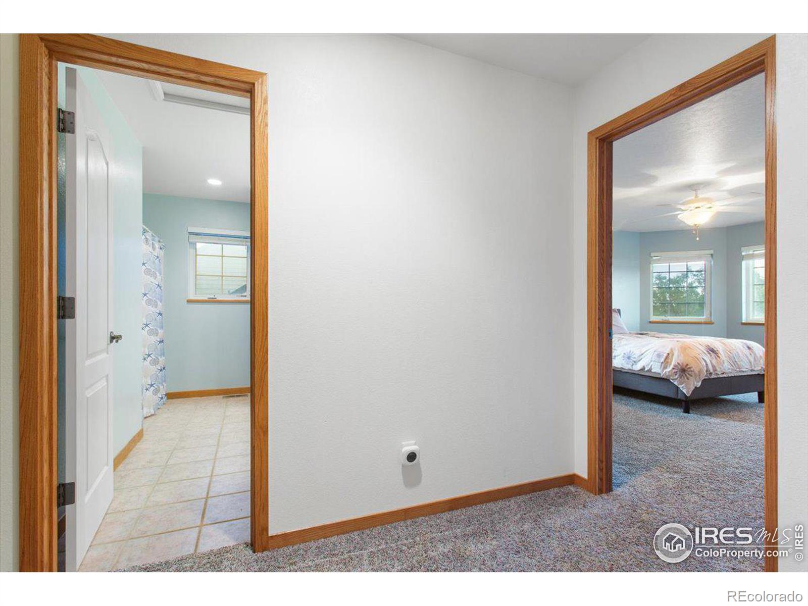 MLS Image #19 for 132  settlers drive,eaton, Colorado