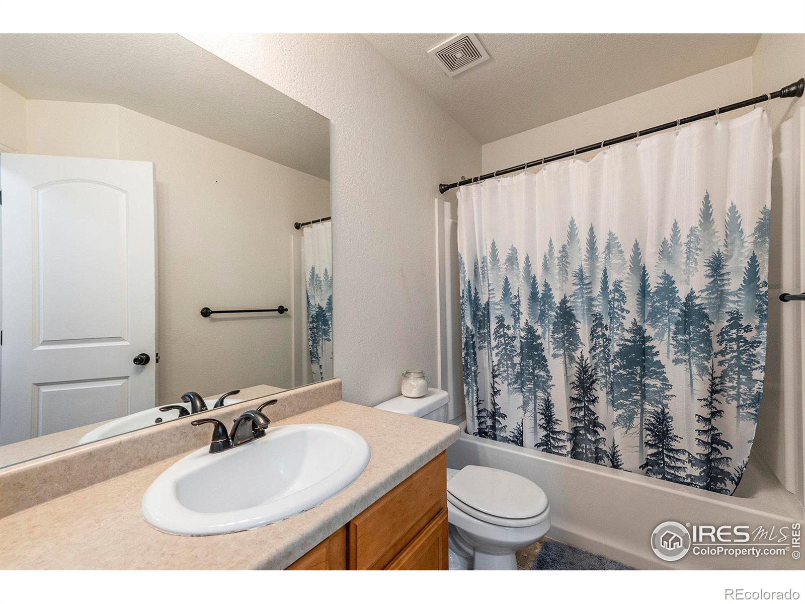 MLS Image #17 for 7305  indigo run street,wellington, Colorado