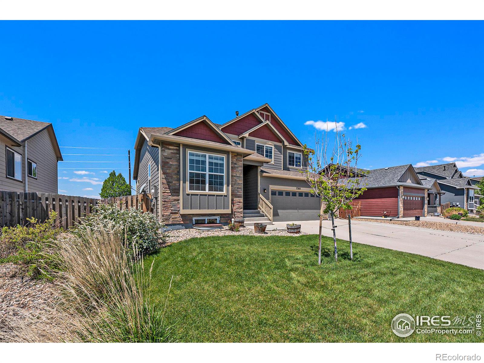 MLS Image #3 for 7305  indigo run street,wellington, Colorado