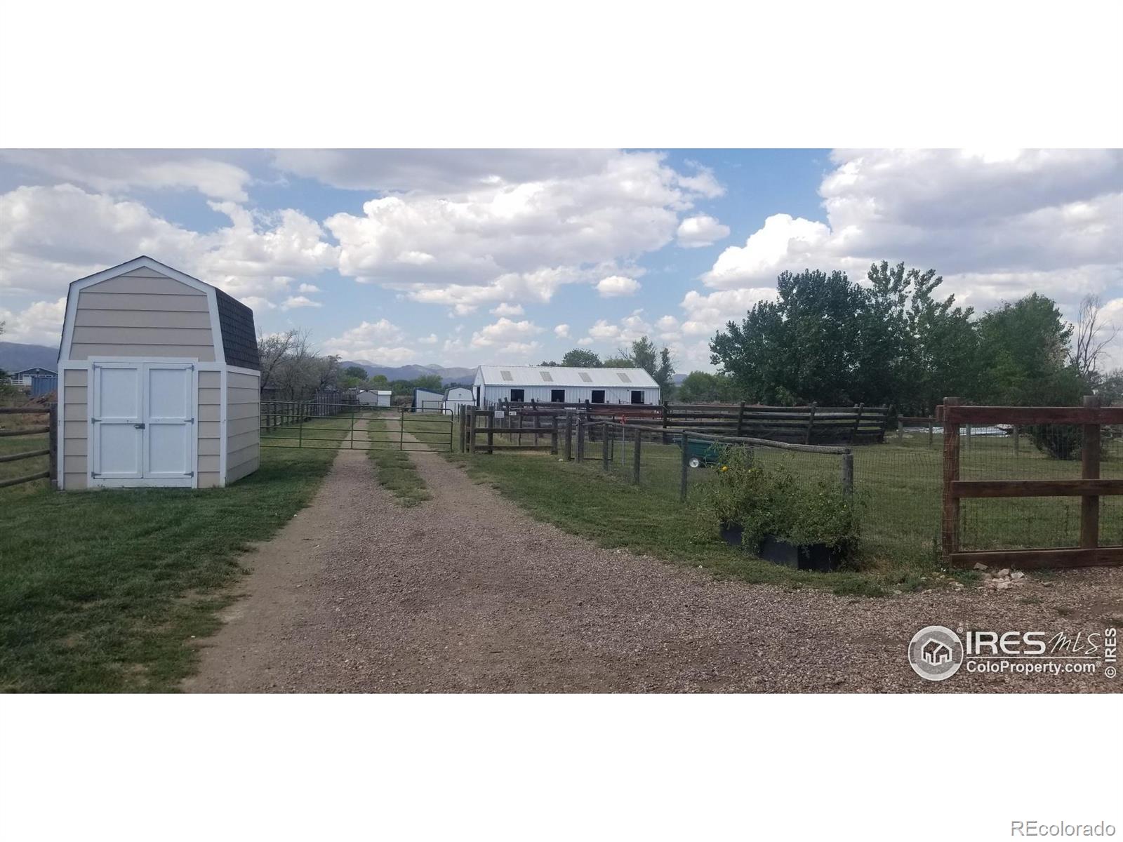 MLS Image #11 for 3909 n county road 13 ,fort collins, Colorado