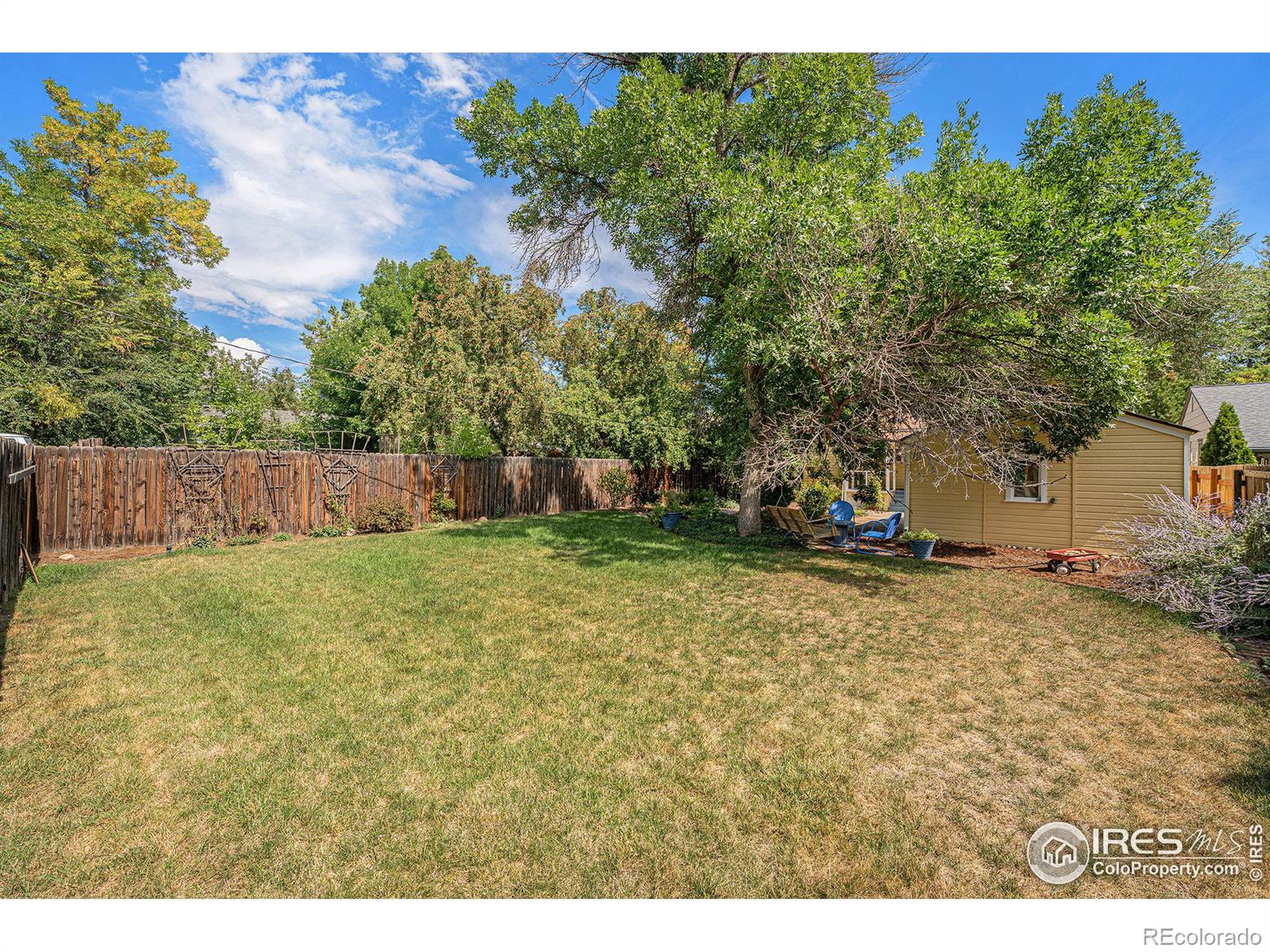 MLS Image #25 for 1119  grant avenue,loveland, Colorado