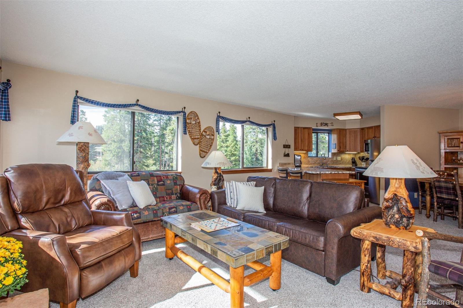 MLS Image #7 for 350  four o clock road c,breckenridge, Colorado