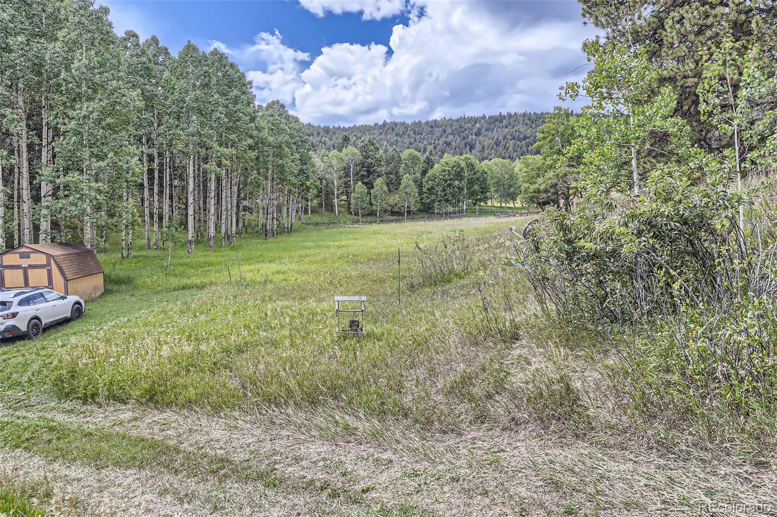 MLS Image #33 for 19490  pleasant park road,conifer, Colorado