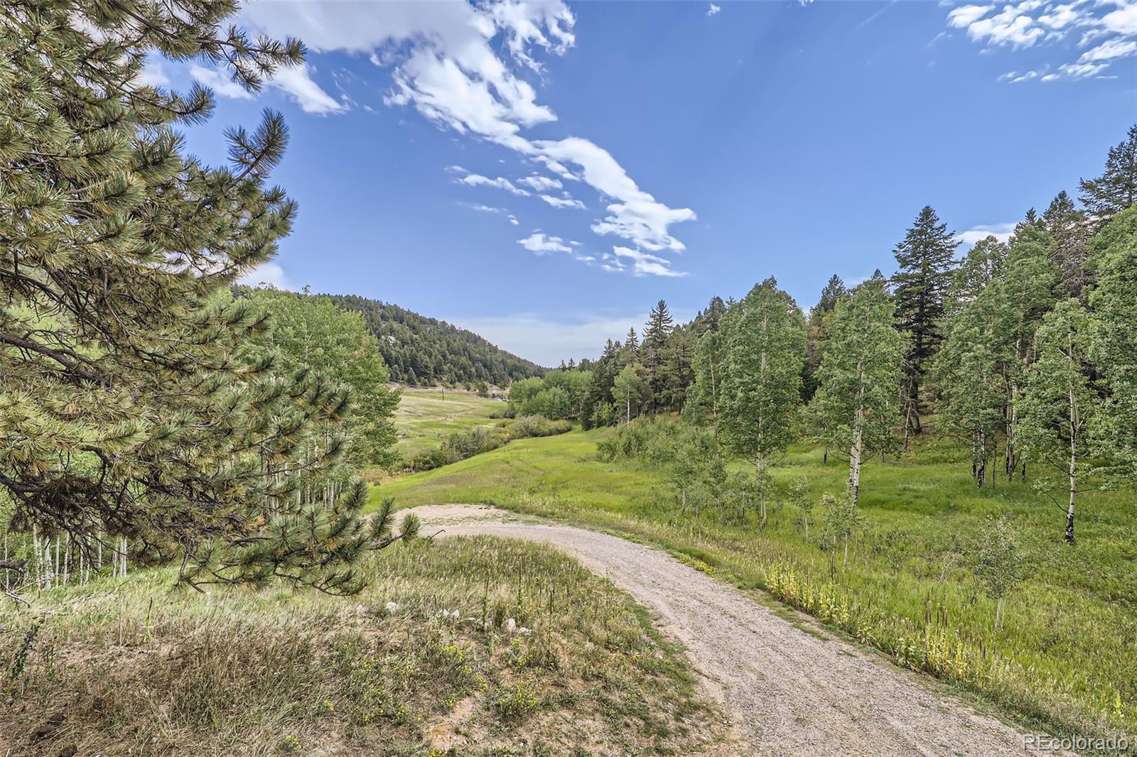 MLS Image #34 for 19490  pleasant park road,conifer, Colorado