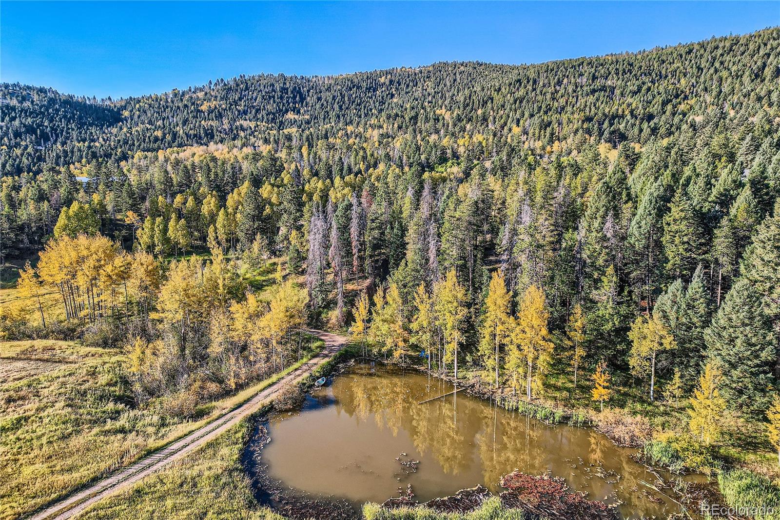 MLS Image #36 for 19490  pleasant park road,conifer, Colorado