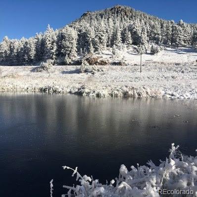 MLS Image #44 for 19490  pleasant park road,conifer, Colorado