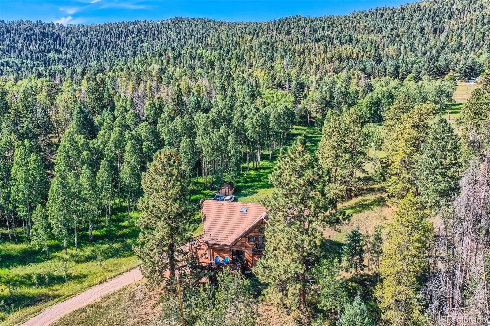 MLS Image #6 for 19490  pleasant park road,conifer, Colorado