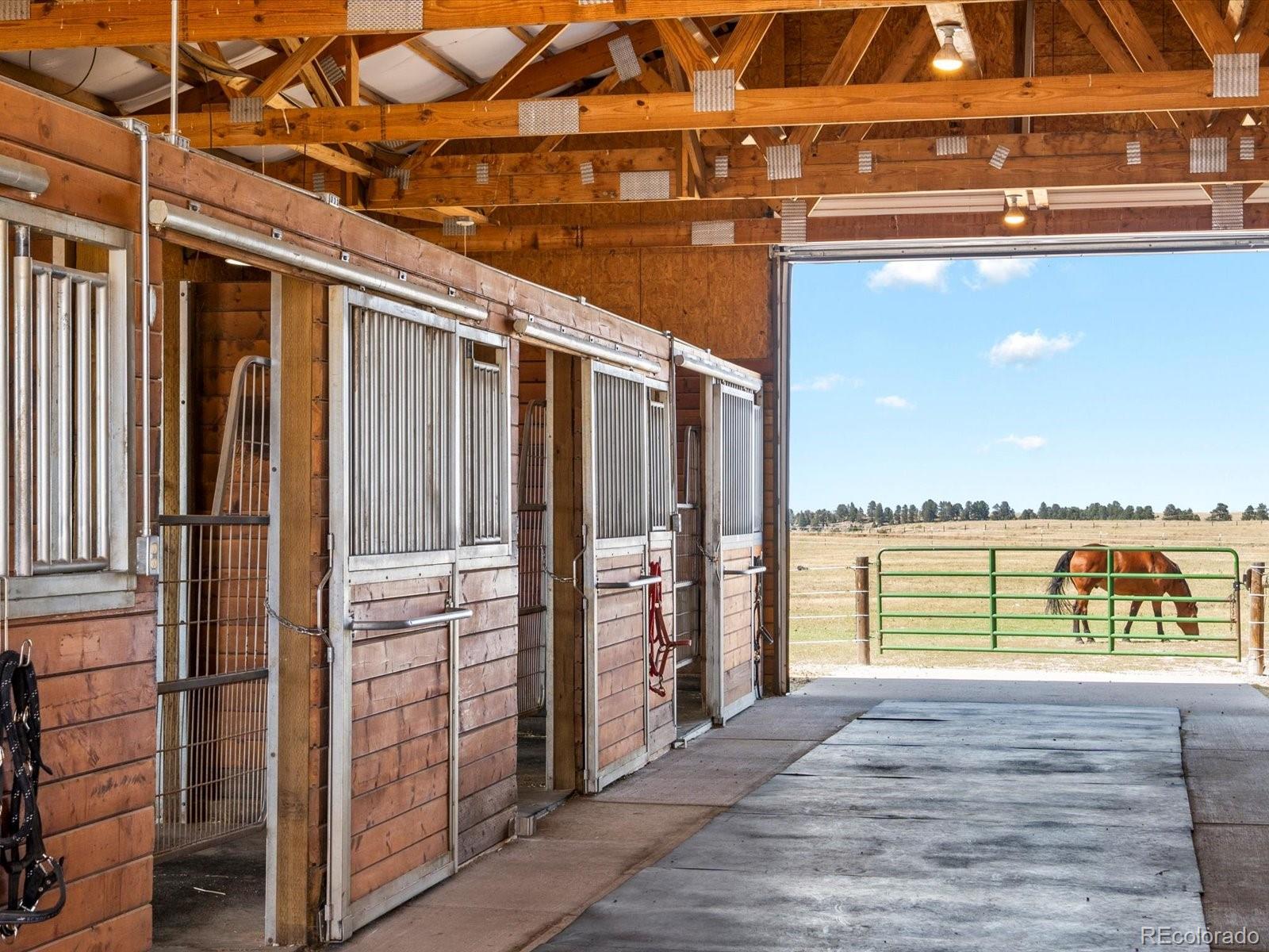 MLS Image #33 for 3545  matt dillon road,elbert, Colorado