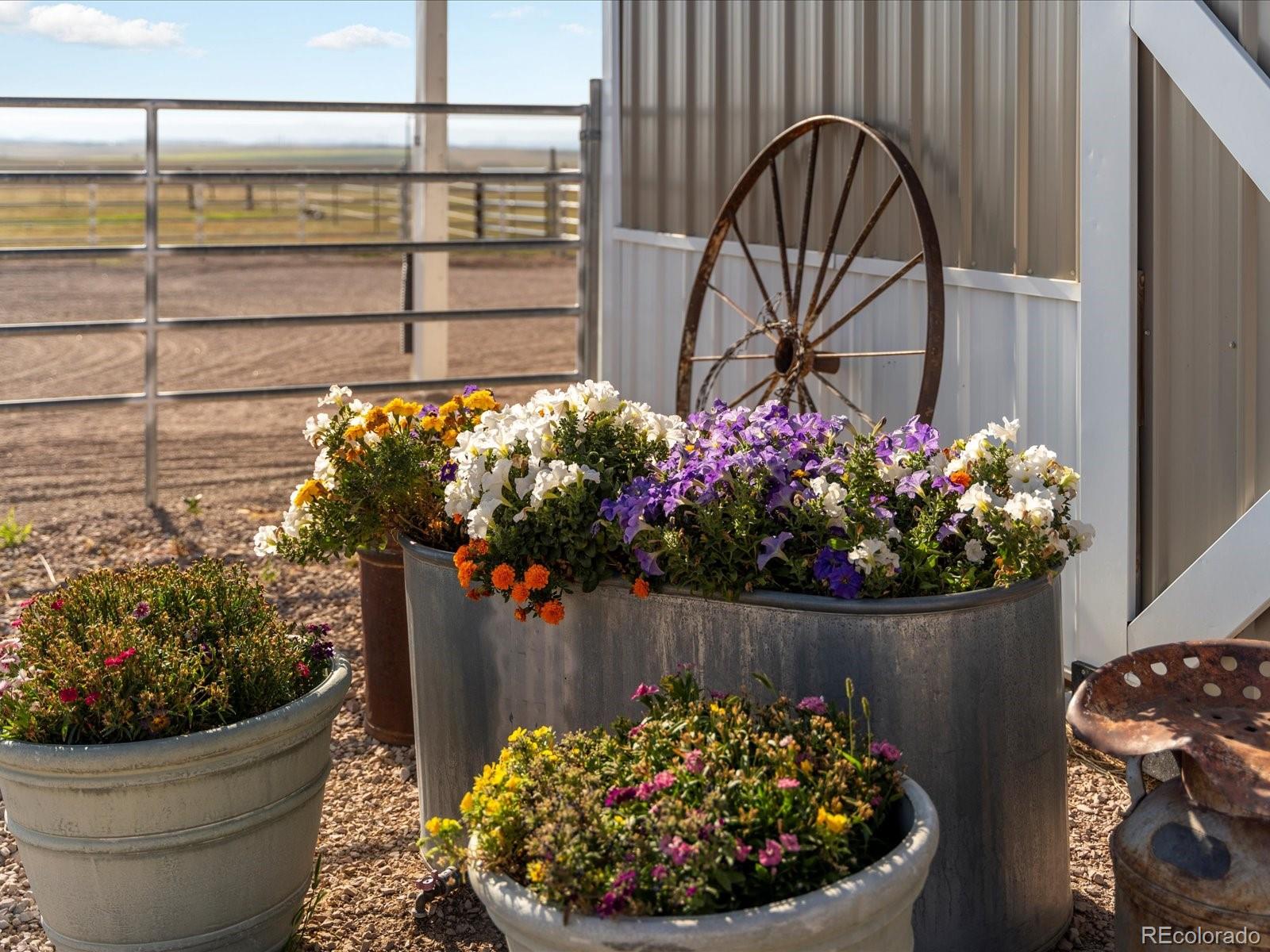 MLS Image #6 for 3545  matt dillon road,elbert, Colorado