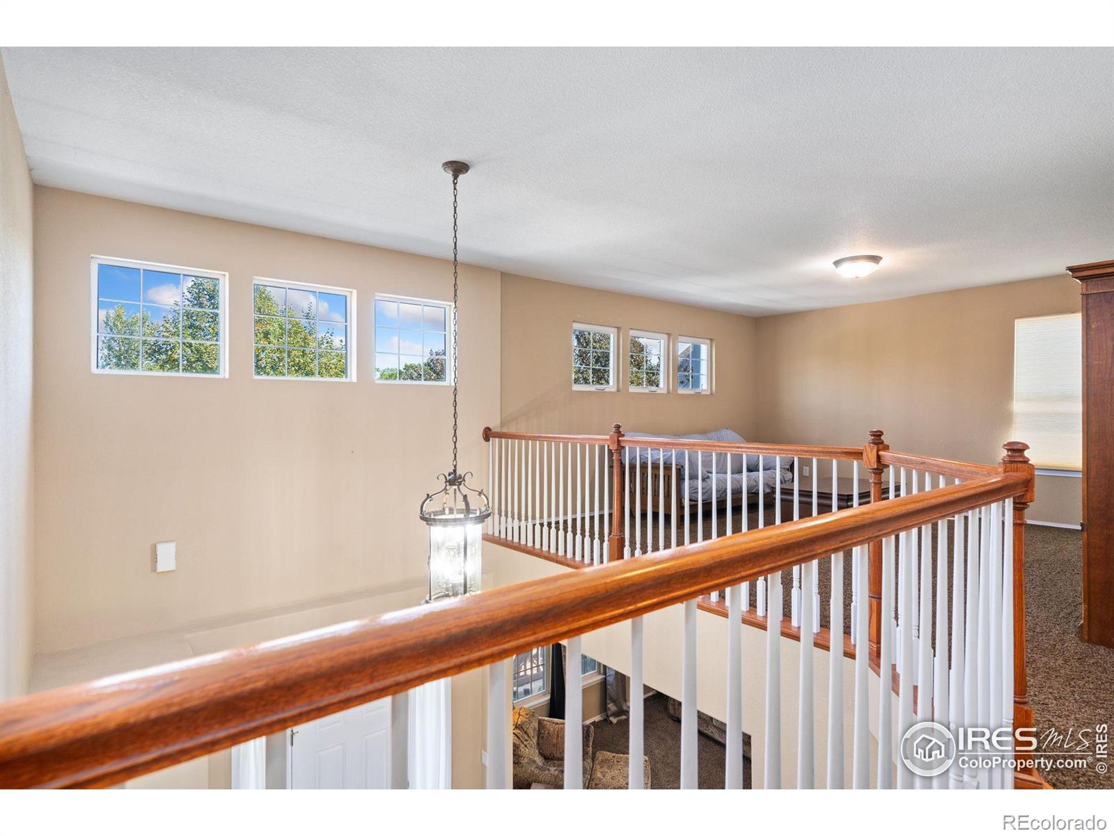 MLS Image #16 for 2409  pierce court,fort collins, Colorado