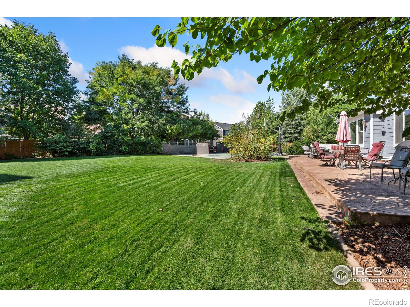 MLS Image #32 for 2409  pierce court,fort collins, Colorado