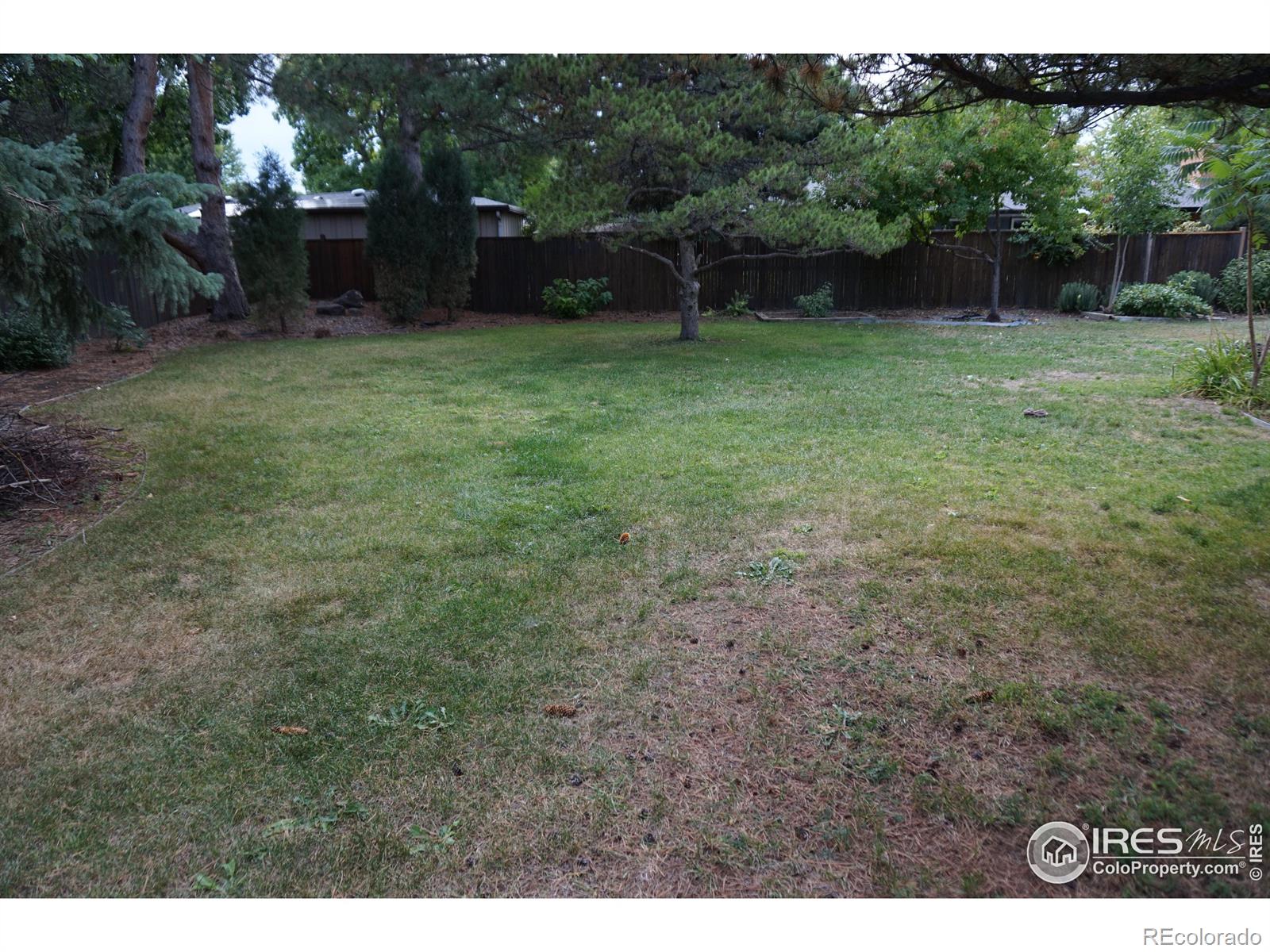 MLS Image #20 for 1409  meeker drive,fort collins, Colorado