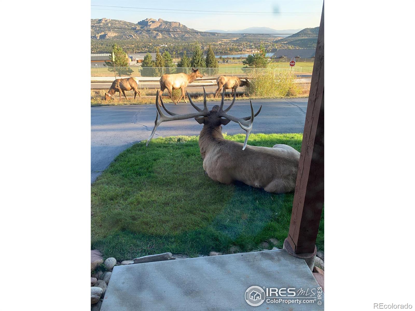 MLS Image #34 for 1437  matthew circle,estes park, Colorado