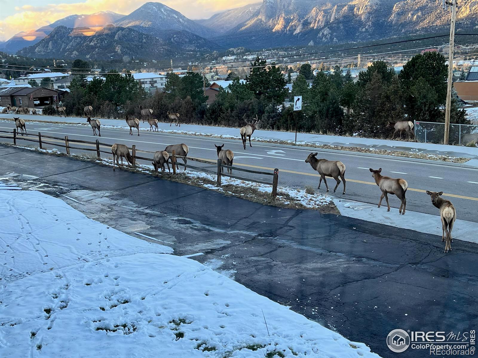 MLS Image #37 for 1437  matthew circle,estes park, Colorado