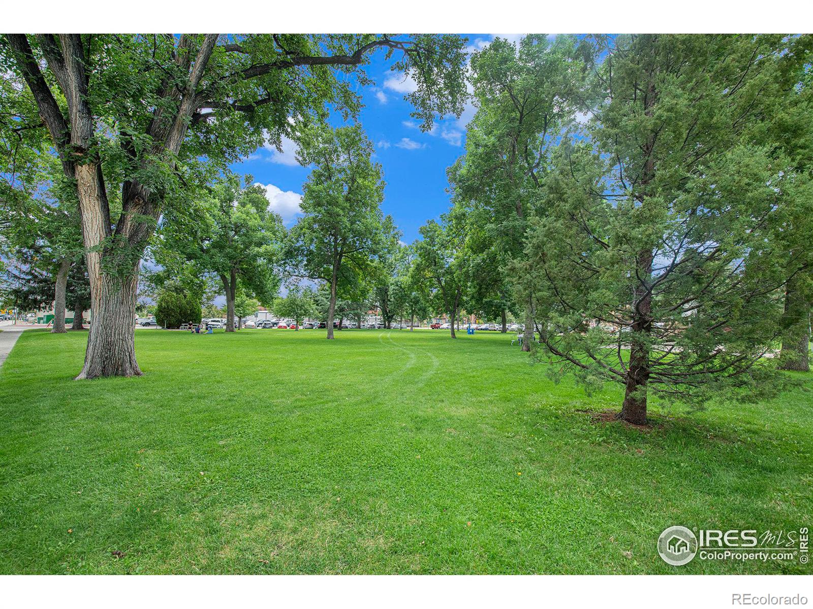 MLS Image #33 for 302 n meldrum street,fort collins, Colorado