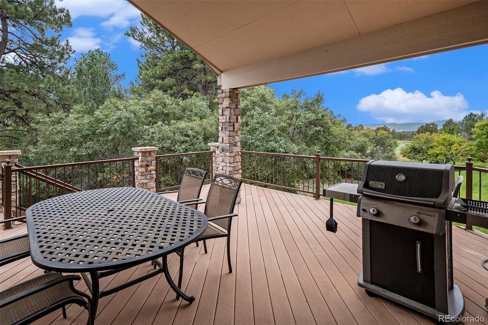 MLS Image #25 for 1405  castlepoint circle,castle pines, Colorado