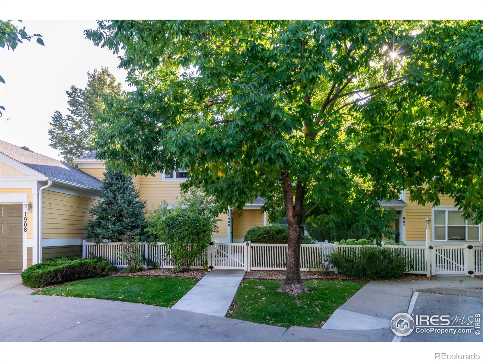 MLS Image #0 for 635  gooseberry drive,longmont, Colorado