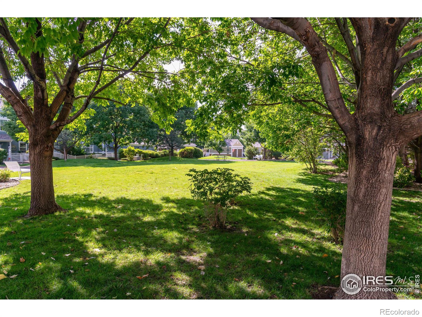 MLS Image #23 for 635  gooseberry drive,longmont, Colorado