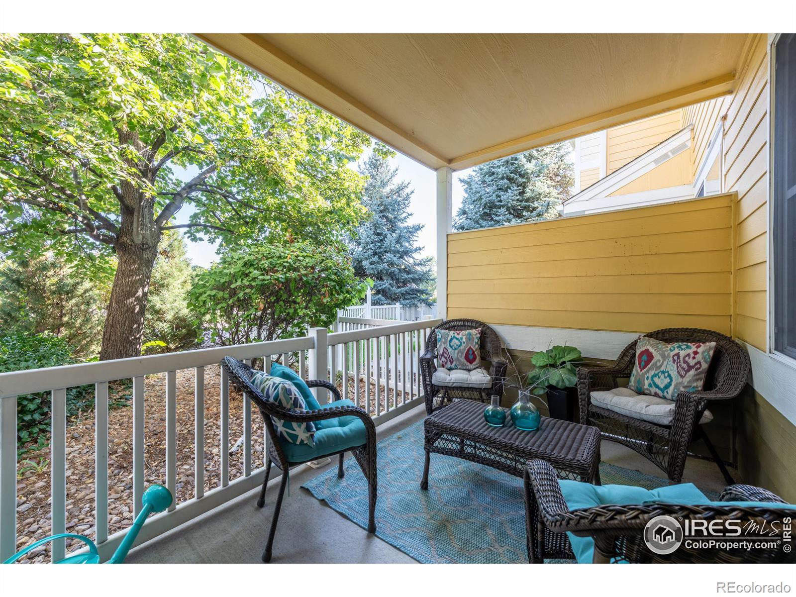 MLS Image #9 for 635  gooseberry drive,longmont, Colorado