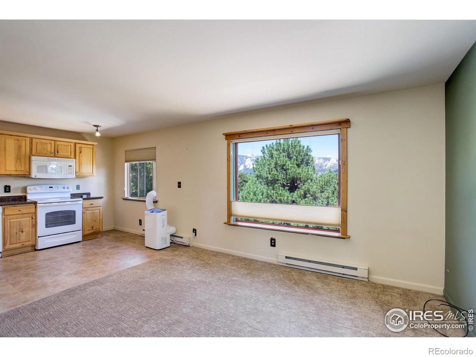 MLS Image #7 for 540  birch avenue,estes park, Colorado