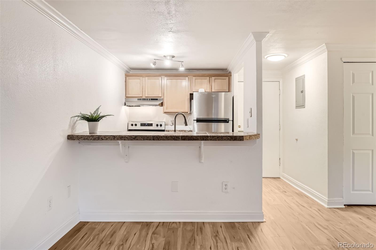 MLS Image #1 for 1125 n washington street,denver, Colorado