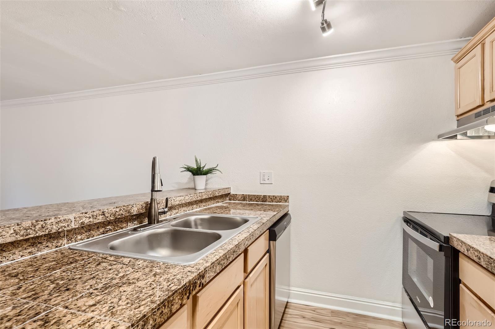 MLS Image #7 for 1125 n washington street,denver, Colorado