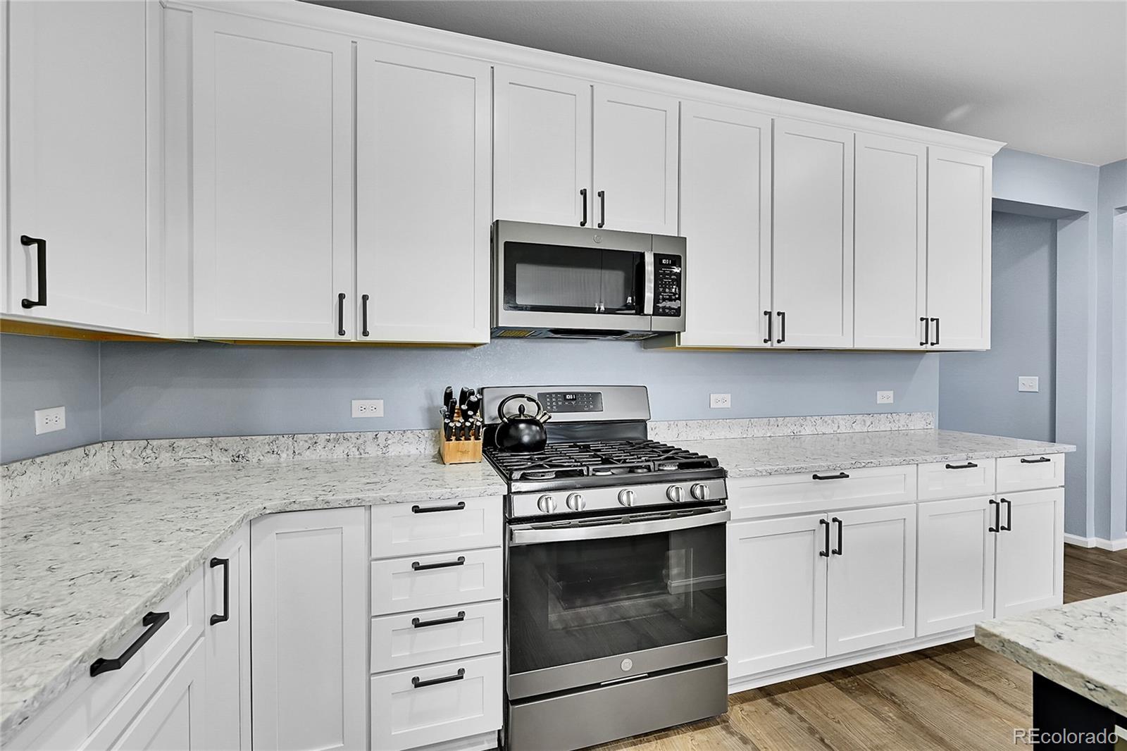 MLS Image #13 for 284 s titus street,aurora, Colorado