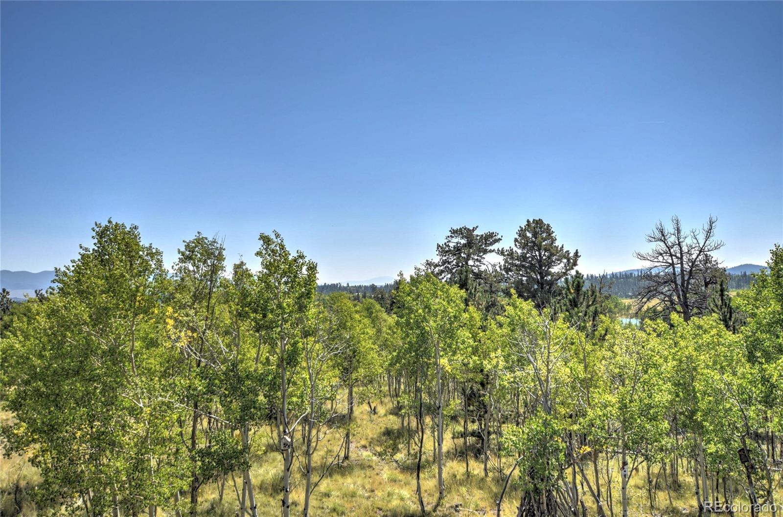 MLS Image #16 for 74  noxibee court,como, Colorado