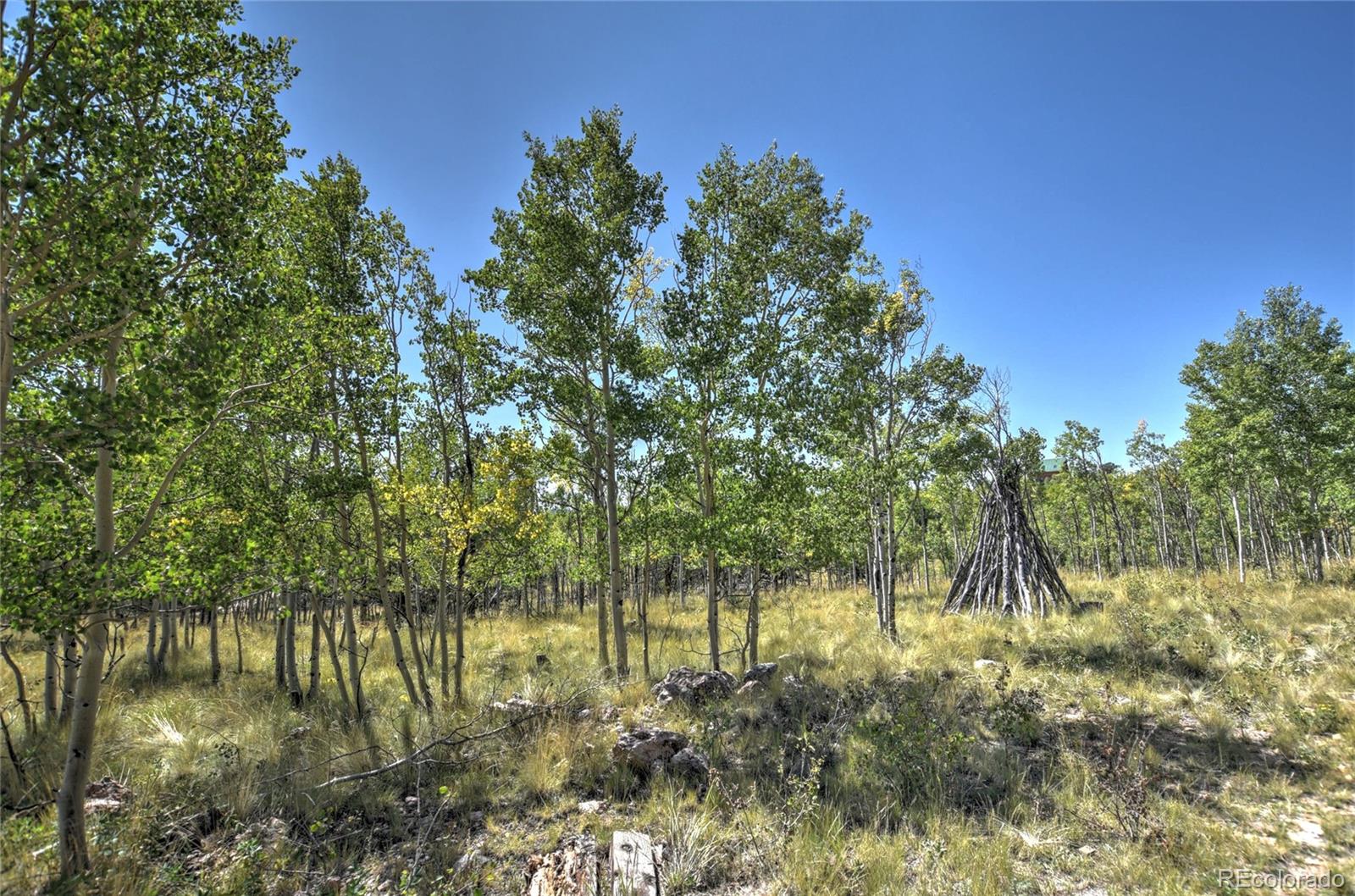 MLS Image #22 for 74  noxibee court,como, Colorado