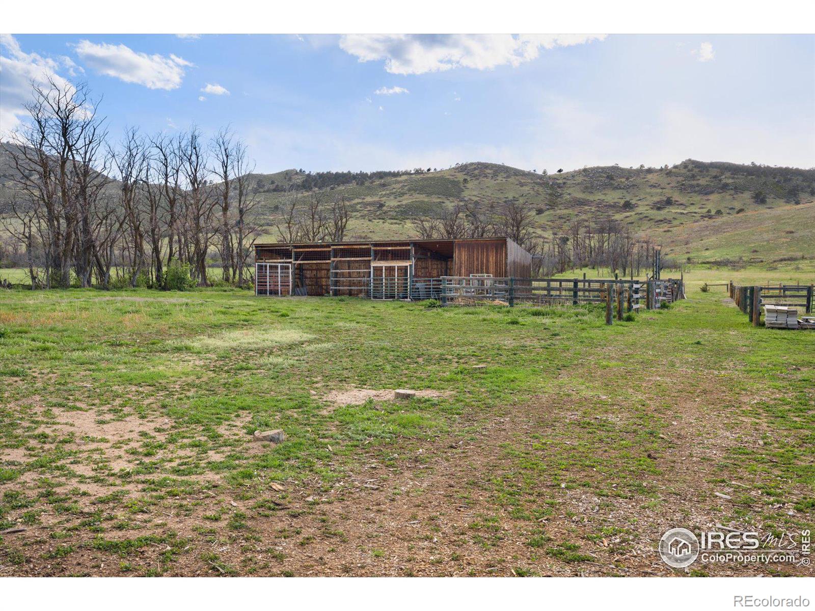 MLS Image #31 for 12645  foothills highway,longmont, Colorado