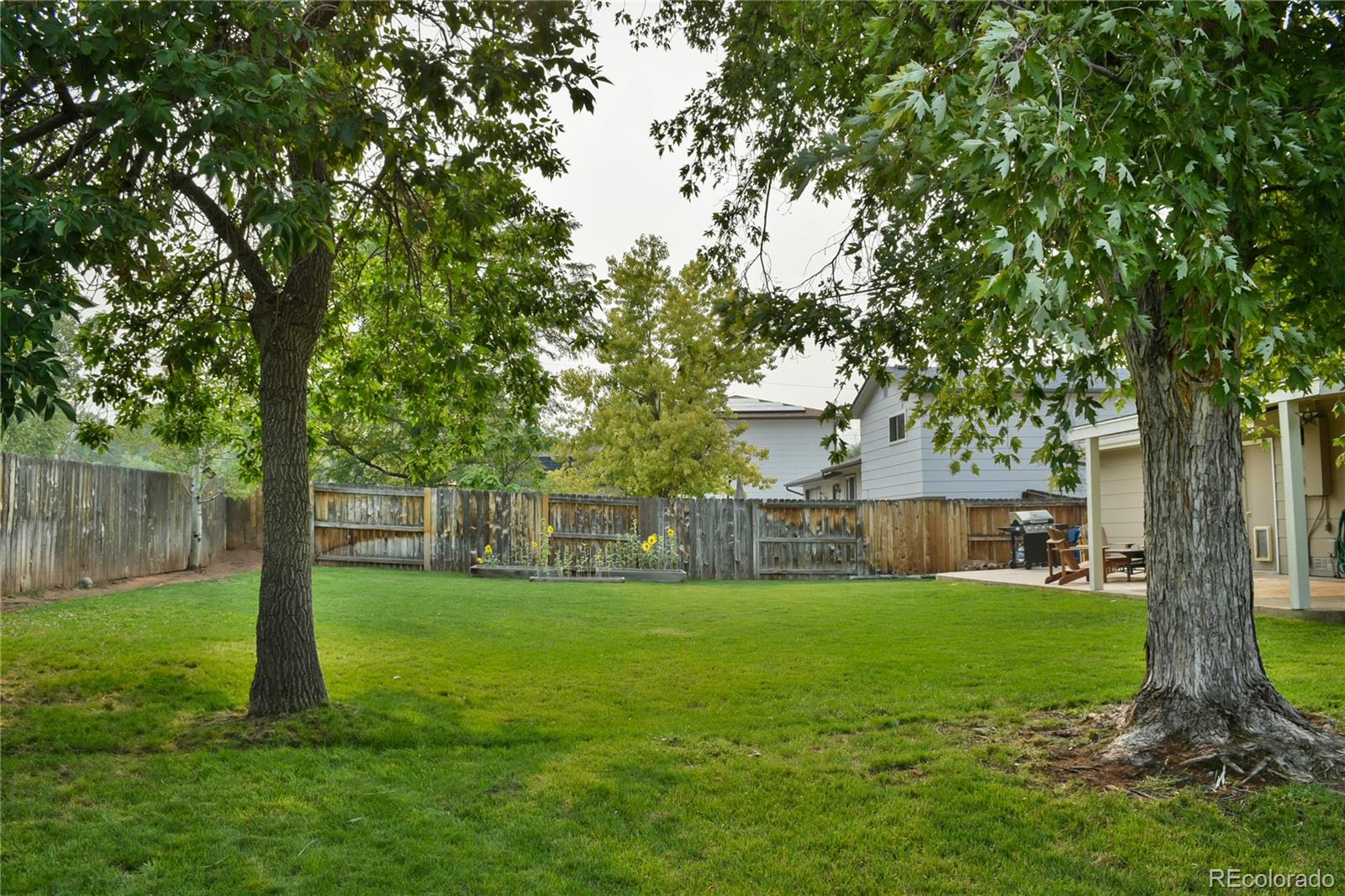 MLS Image #31 for 13258 w marlowe avenue,morrison, Colorado