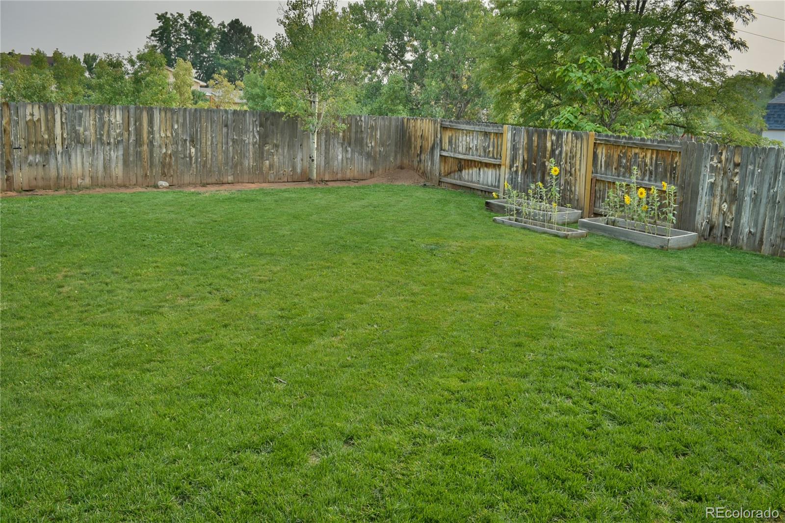 MLS Image #34 for 13258 w marlowe avenue,morrison, Colorado