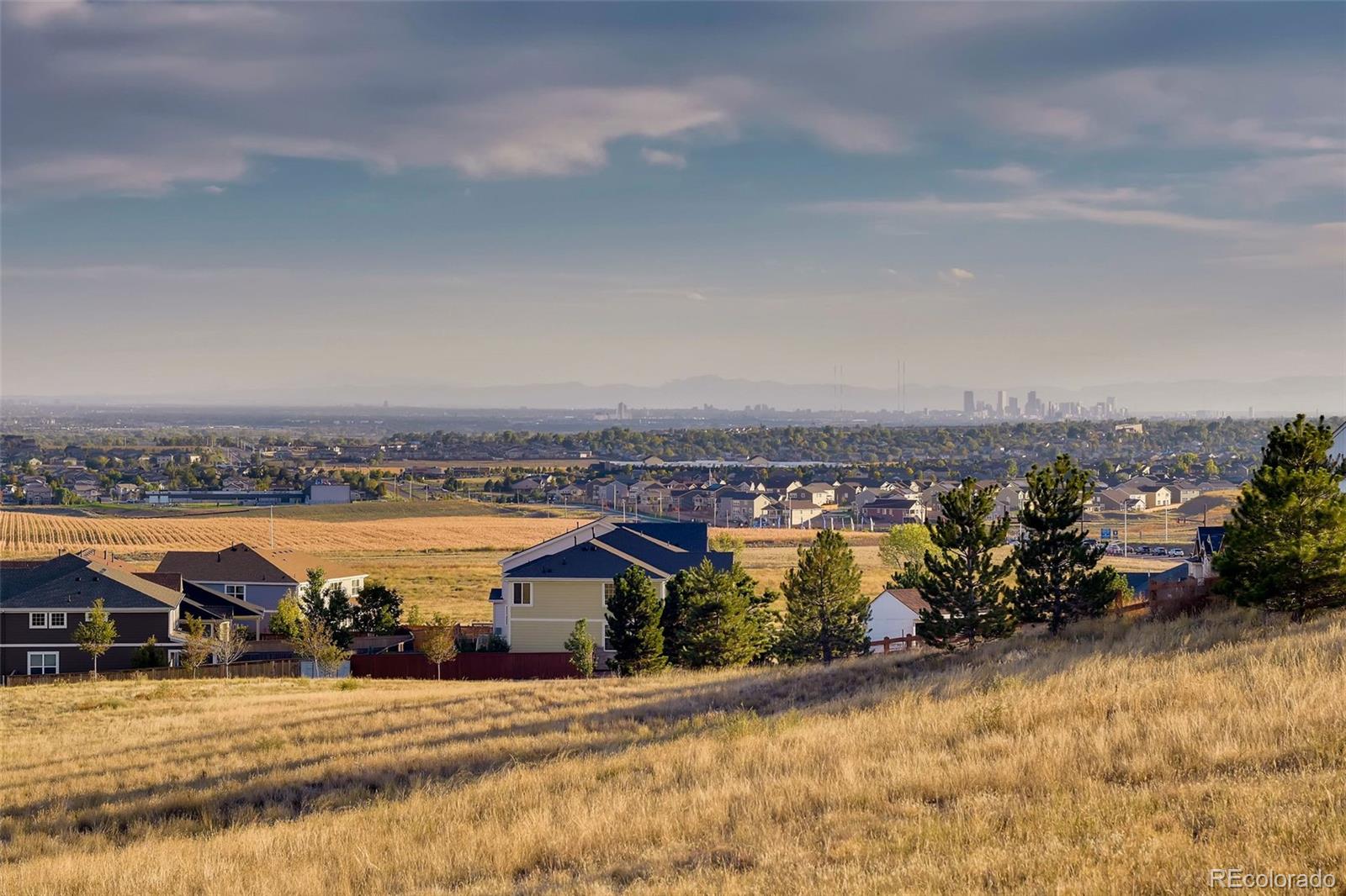 MLS Image #33 for 7825 e 139th place,thornton, Colorado