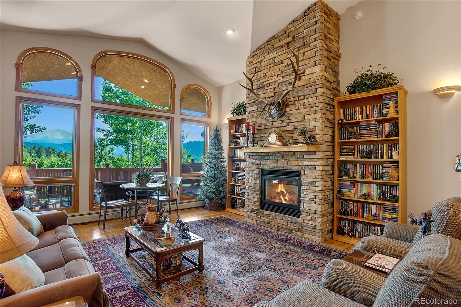 MLS Image #12 for 1001  ponderosa way,woodland park, Colorado