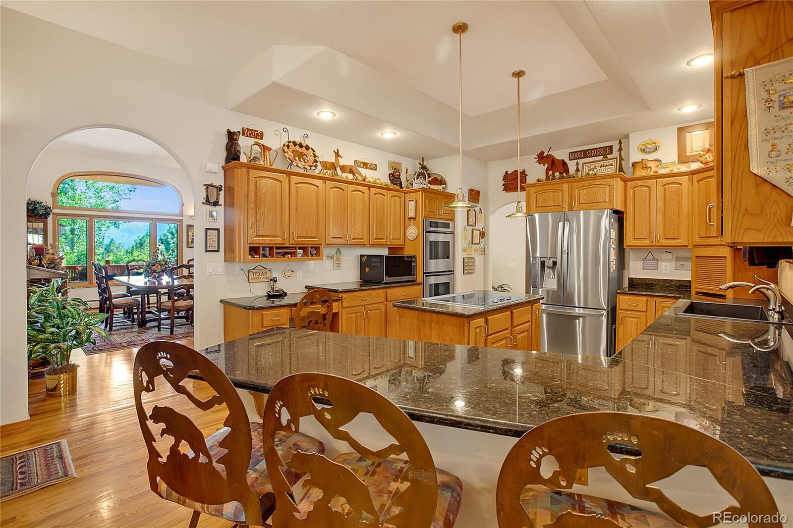 MLS Image #24 for 1001  ponderosa way,woodland park, Colorado