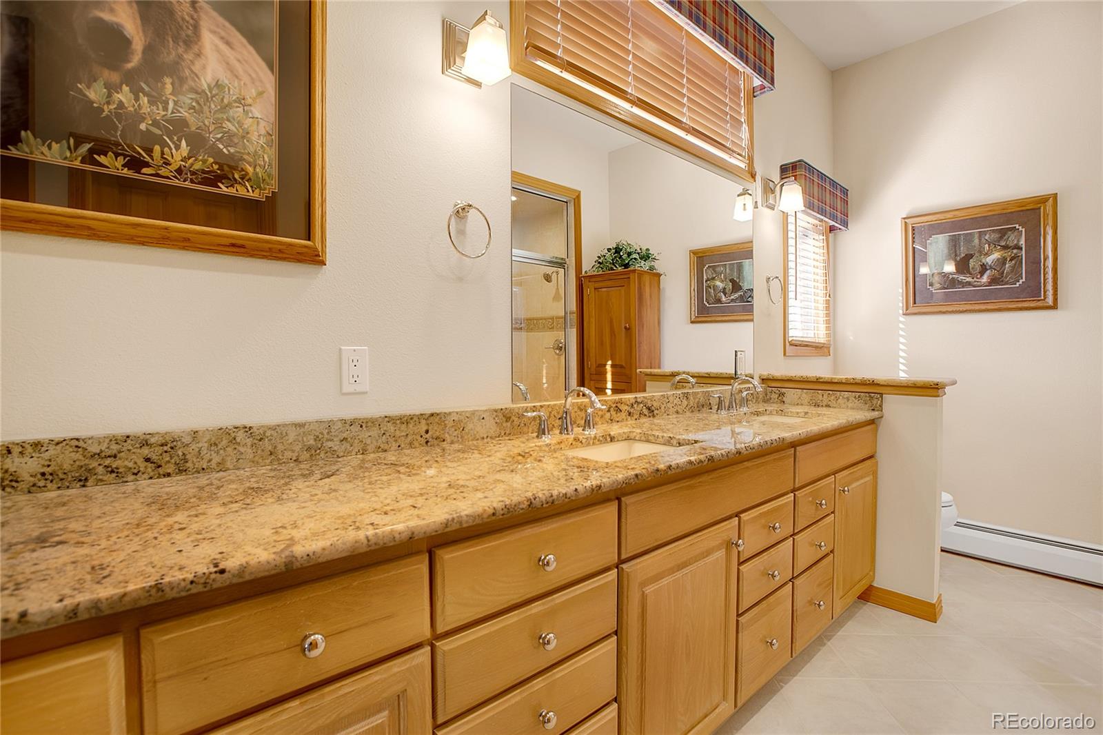 MLS Image #28 for 1001  ponderosa way,woodland park, Colorado