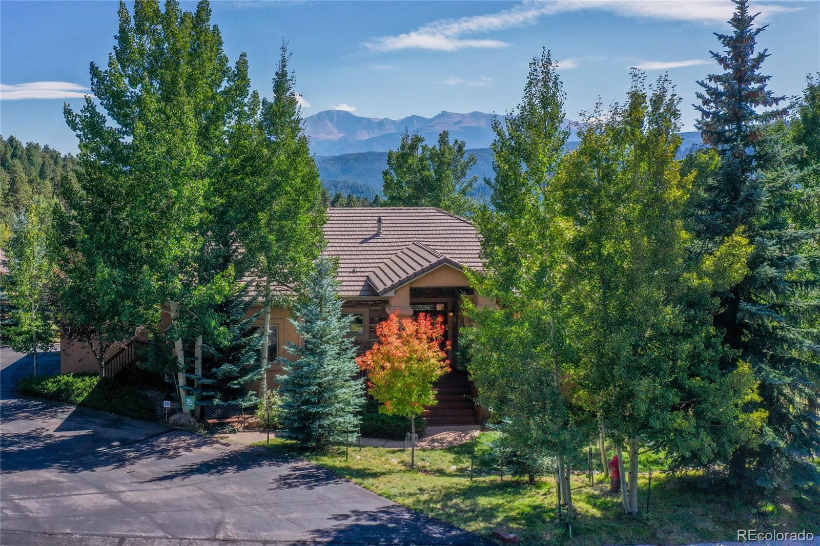 MLS Image #3 for 1001  ponderosa way,woodland park, Colorado