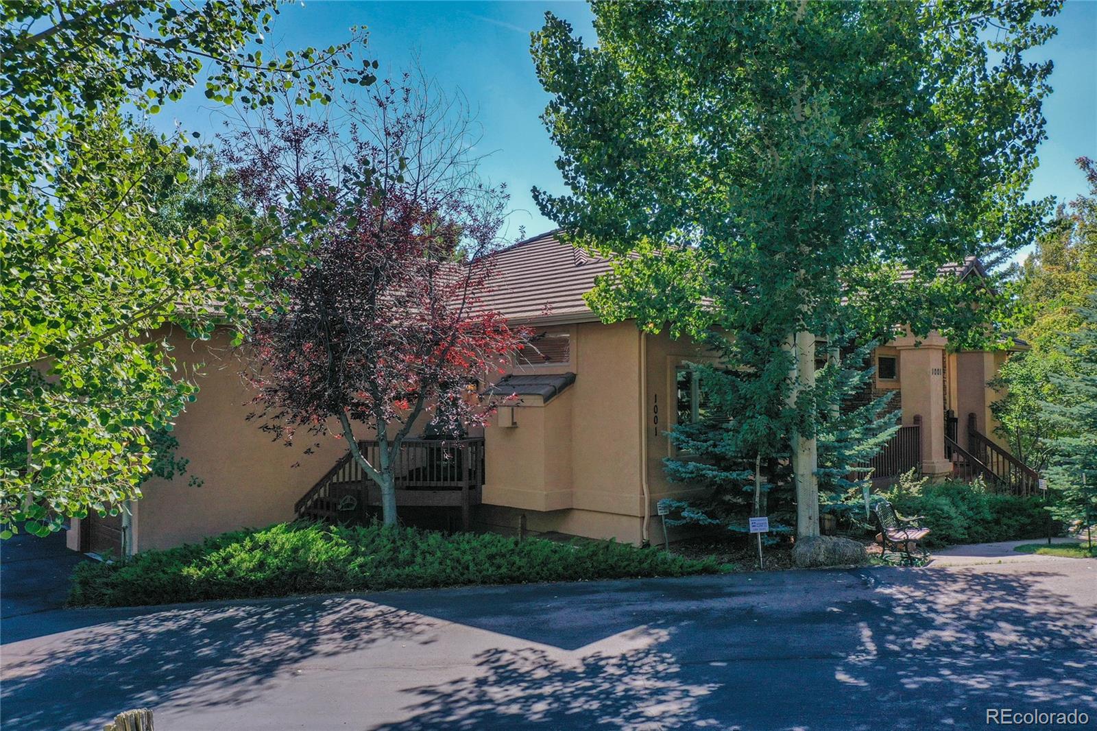 MLS Image #4 for 1001  ponderosa way,woodland park, Colorado