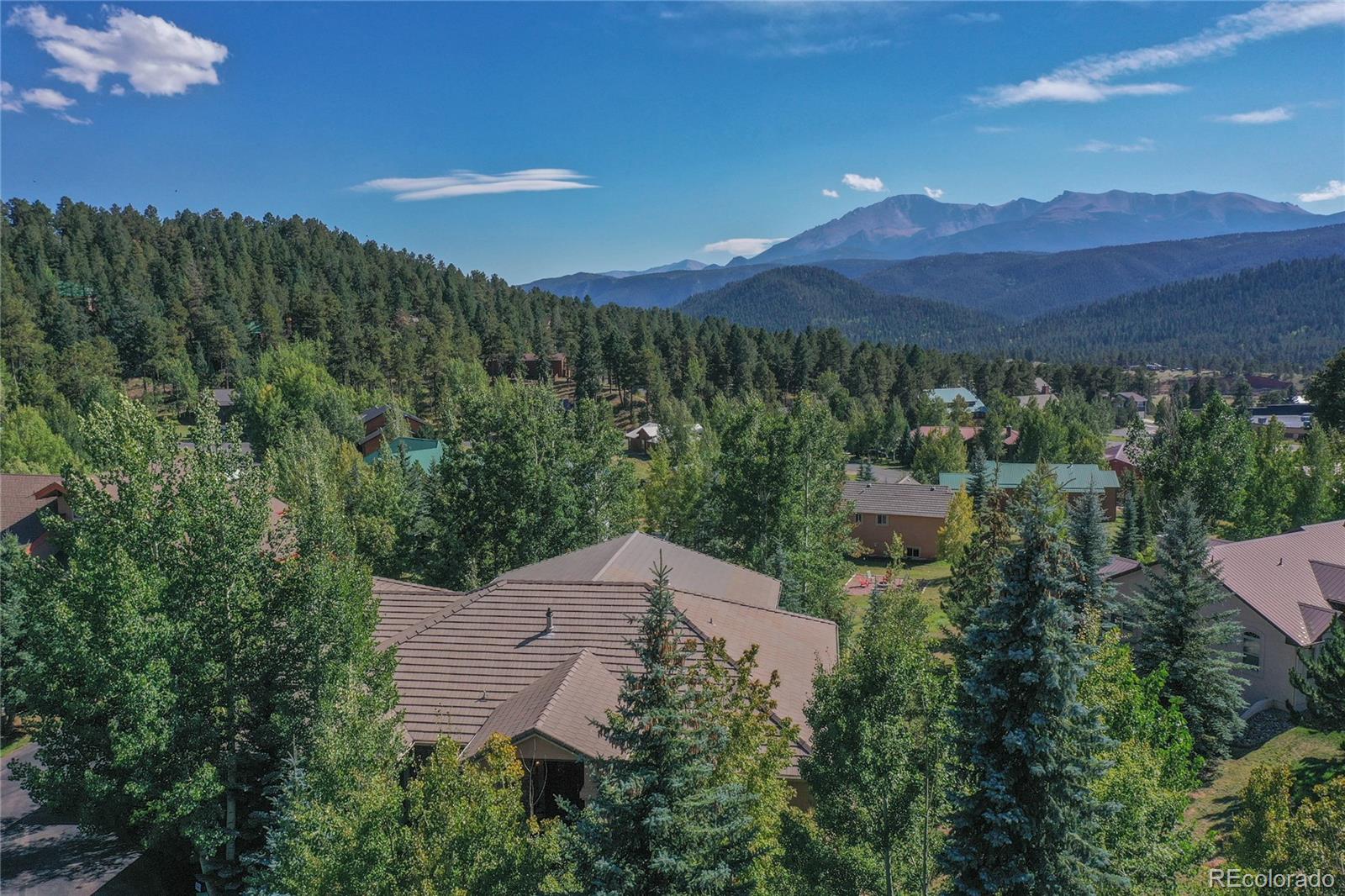 MLS Image #43 for 1001  ponderosa way,woodland park, Colorado