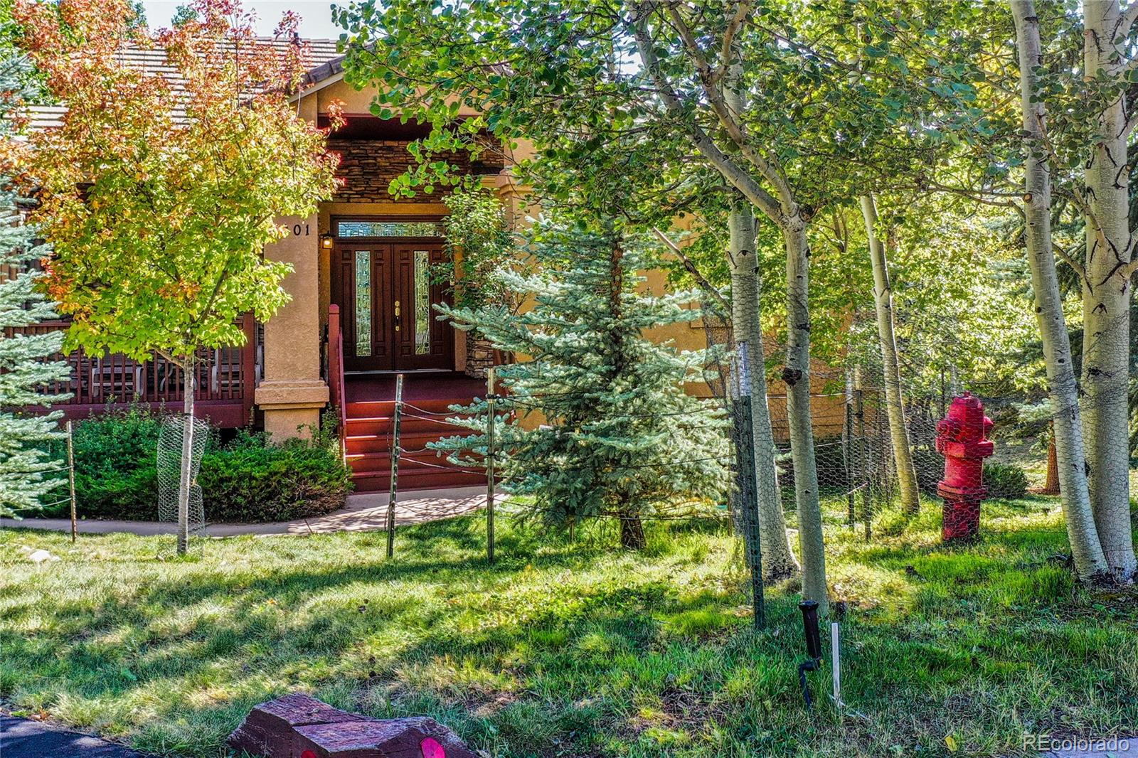 MLS Image #7 for 1001  ponderosa way,woodland park, Colorado