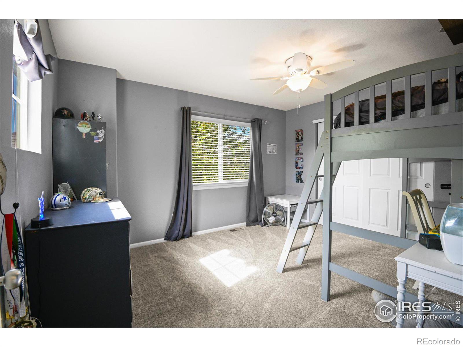 MLS Image #16 for 4625  wildgrass place,dacono, Colorado